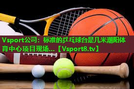 Vsport公司：标准的乒乓球台是几米潮阳体育中心项目现场…