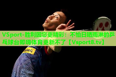 VSport-胜利因您更精彩：不怕日晒雨淋的乒乓球台即嗨体育更新不了