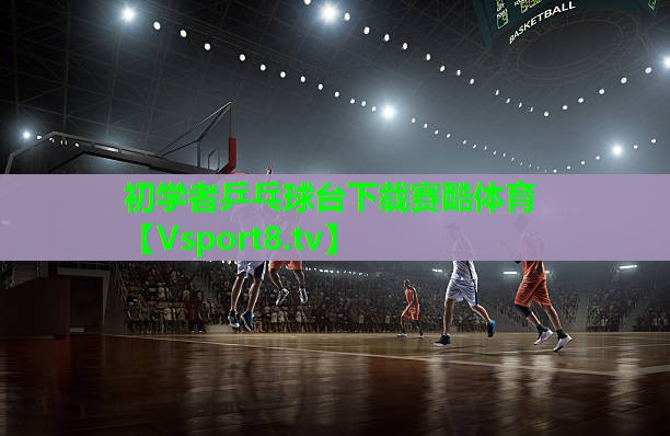 初学者乒乓球台下载赛酷体育