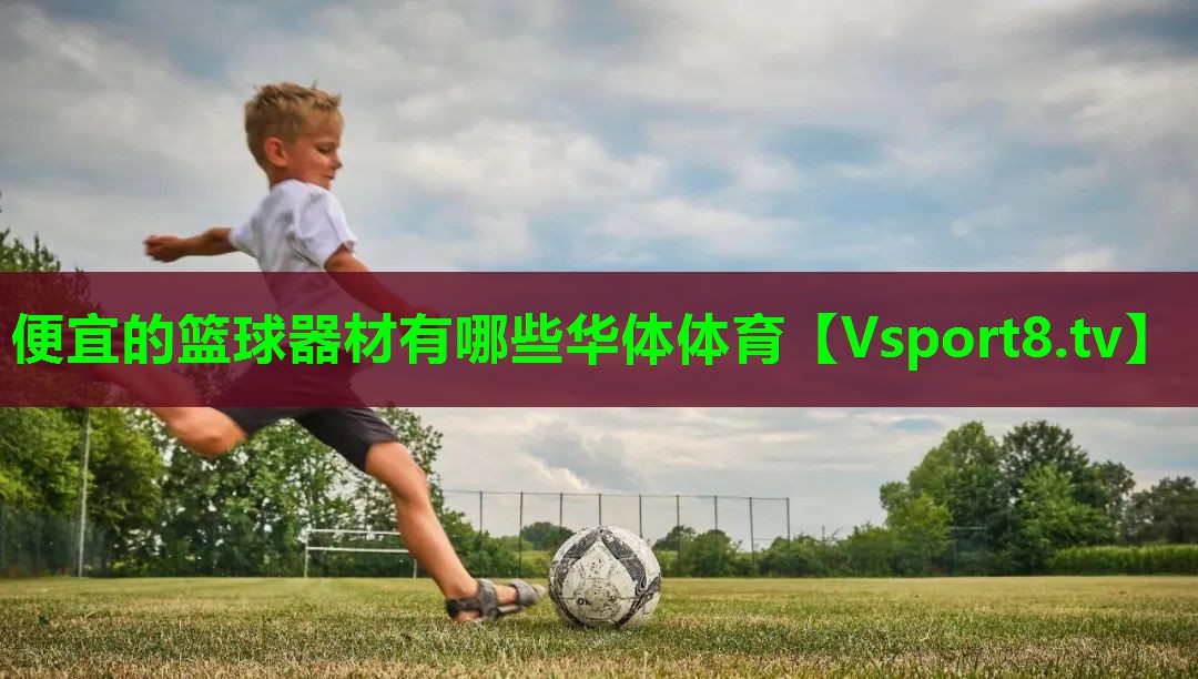 便宜的篮球器材有哪些华体体育