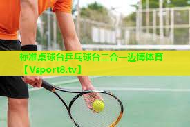 标准桌球台乒乓球台二合一迈博体育