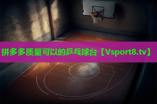 拼多多质量可以的乒乓球台