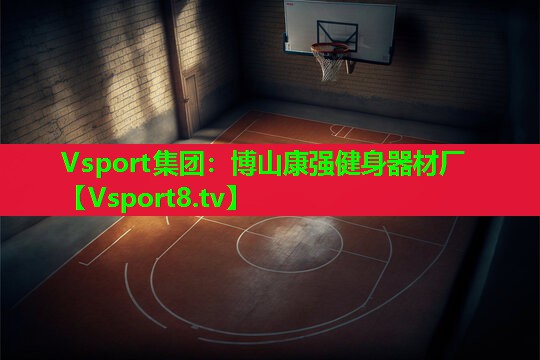 Vsport集团：博山康强健身器材厂