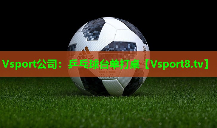 Vsport公司：乒乓球台单打桌