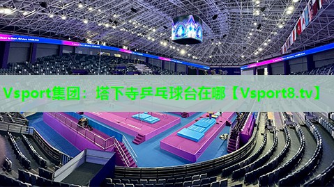 Vsport集团：塔下寺乒乓球台在哪