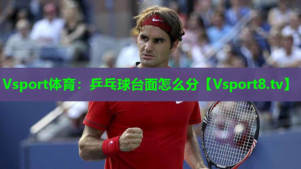 Vsport体育：乒乓球台面怎么分