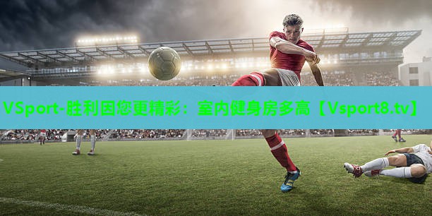 VSport-胜利因您更精彩：室内健身房多高