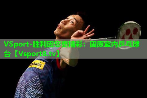 VSport-胜利因您更精彩：固原室内乒乓球台