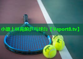 小塘上林苑的乒乓球台