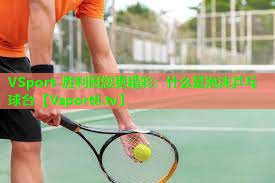 什么是泡沫乒乓球台
