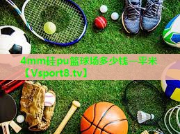 4mm硅pu篮球场多少钱一平米