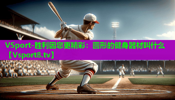 圆形的健身器材叫什么