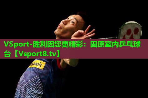 固原室内乒乓球台 固原室内乒乓球台