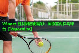 固原室内乒乓球台 固原室内乒乓球台