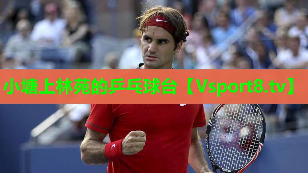 小塘上林苑的乒乓球台 小塘上林苑的乒乓球台