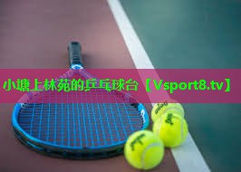 小塘上林苑的乒乓球台 小塘上林苑的乒乓球台