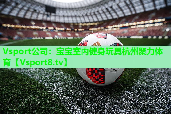 Vsport公司：宝宝室内健身玩具杭州聚力体育