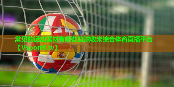常见的运动器材有哪些篮球收米综合体育直播平台