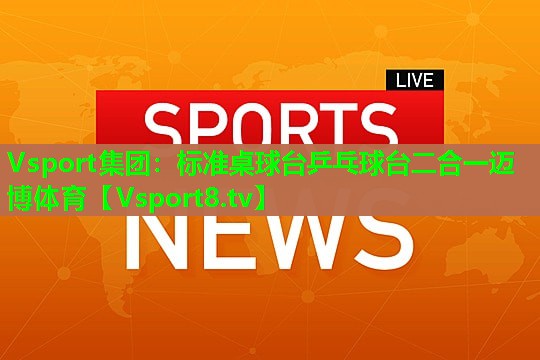 Vsport集团：标准桌球台乒乓球台二合一迈博体育