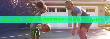 Vsport公司：便宜的篮球器材有哪些华体体育