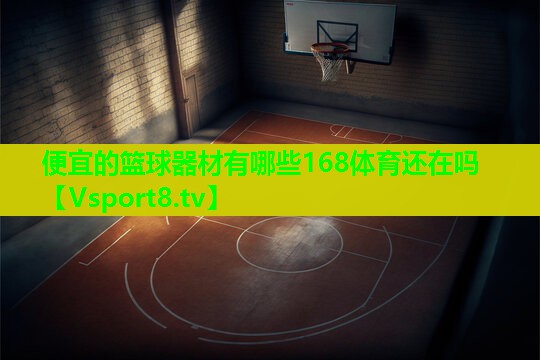 便宜的篮球器材有哪些168体育还在吗