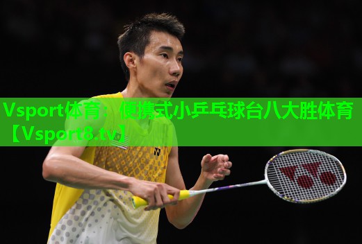 Vsport体育：便携式小乒乓球台八大胜体育