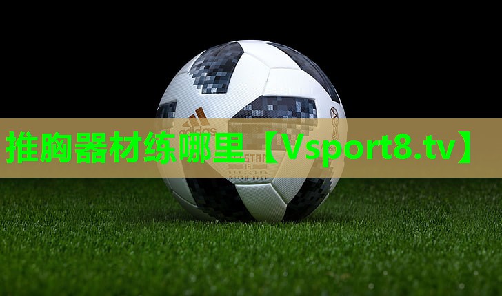 推胸器材练哪里